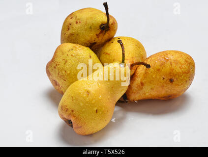 Le pere di gocce di acqua su uno sfondo bianco. Foto Stock