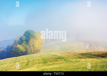 Inizio autunno uno scenario paesaggistico in foggy meteo. alberi a foglie colorate sulla collina. meraviglioso mattino luminoso sullo sfondo di montagne. Foto Stock