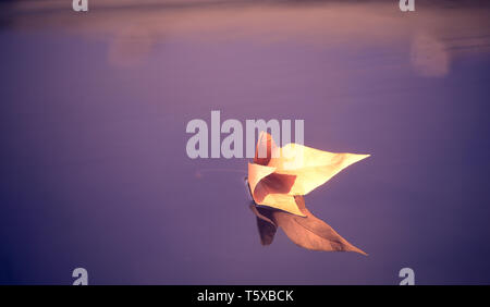 Asciugare Autumn Leaf che galleggia sulla superficie dell'acqua Foto Stock