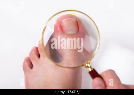 Una vista aerea di persona della mano che tiene la lente di ingrandimento su mal di punta chiodo sul pavimento Foto Stock