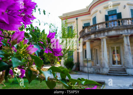 Mon Repos Palace nell'isola di Corfu in Grecia Foto Stock