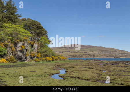 Guardando attraverso il suono dell' Ulva dall'Isola di Ulva al Isle of Mull, Argyll & Bute, Ebridi Interne, Scotland, Regno Unito Foto Stock