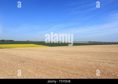 I campi di patchwork nel bellissimo paesaggio del Yorkshire wolds in primavera Foto Stock