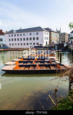 Sterline nel mulino stagno, città universitaria di Cambridge, Cambridgeshire, Inghilterra Foto Stock