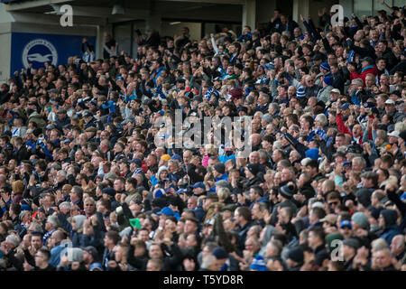 Brighton e Hove, Inghilterra, Regno Unito il 27 aprile 2019. Tifosi Brighton gioire con la fine di un equalizzatore nella seconda metà durante il match di Premier League tra Brighton e Hove Albion e Newcastle United presso la American Express Community Stadium di Brighton e Hove, Inghilterra il 27 aprile 2019. Foto di Steve palla. Solo uso editoriale, è richiesta una licenza per uso commerciale. Nessun uso in scommesse, giochi o un singolo giocatore/club/league pubblicazioni. Foto Stock