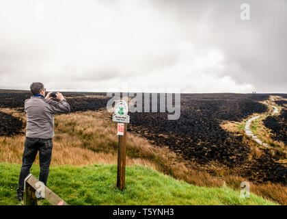 Un uomo si ferma a guardare i danni causati dagli incendi in Yorkshire Moors. Foto Stock