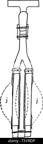 Uno schema del dispositivo illustrante il modo in cui le cellule di guardia posizione separata del tubo di gomma quando la pressione dell'acqua è attivata, vintage disegno della linea o engr Illustrazione Vettoriale