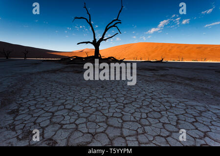 Soleggiato crinale contrasta con secco, sale fango incrinato appartamenti stagionale del fiume nel deserto in Namibia Foto Stock