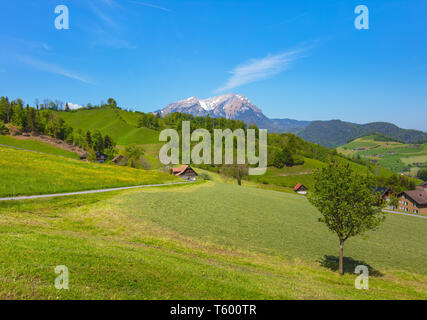 Una primavera vista dal piede di Mt. Stanserhorn nel cantone svizzero di Nidvaldo vicino alla città di Stans, vertice di Mt. Pilatus in background. Foto Stock