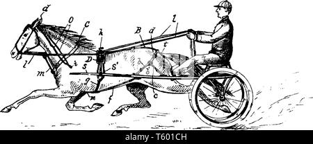 Cablaggio per fini di sicurezza è una forma di equipaggiamenti di protezione progettati per proteggere una persona o animale oggetto da lesioni o danni, vintage disegno della linea Illustrazione Vettoriale