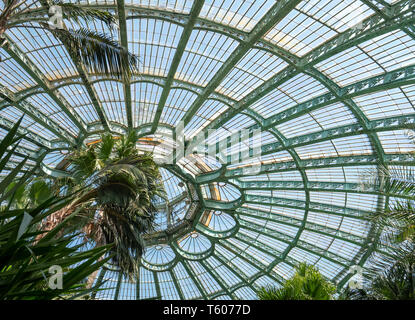 Tetto a cupola del giardino invernale presso le Serre Reali di Laeken. L'inverno case giardino delle palme, felci e esotico di piante fiorite. Foto Stock