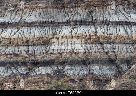 La MIA Stella ponte di sospensione è a 117 metri lungo la sospensione pedonale ponte attraverso il Red Deer River in Drumheller, Alberta, Canada. Costruito nel 1931,Travel Alberta Foto Stock