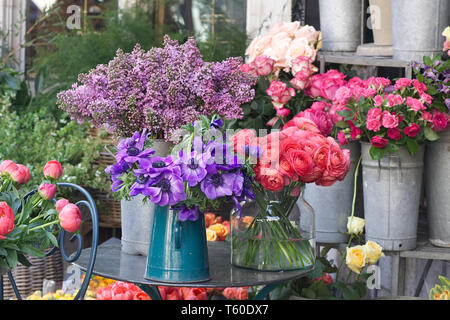 Vasi con fiori sul display Foto Stock