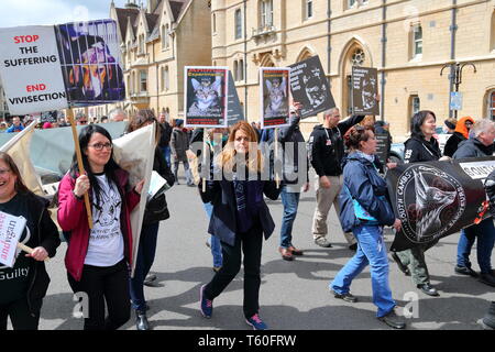 Un gran numero di diritti degli animali gli attivisti si riuniscono a Oxford per protestare contro la vivisezione degli animali. Foto Stock