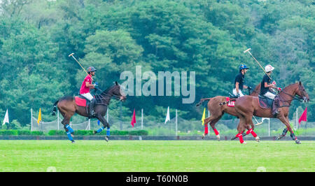 I giocatori che giocano una partita di polo in una polo terra su un campo verde Foto Stock