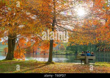 TAURANGA NUOVA ZELANDA - Aprile 27 2019; tre persone su una panchina nel parco nel tardo pomeriggio i colori autunnali sul lago in McLaren Falls Park in montagna Kaimai r Foto Stock