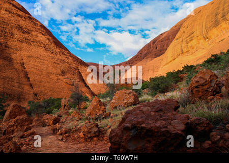 Valle di Kata Tjuta National Park con la macchia di deserto nel cuore rosso dell'Australia, dell'Olgas,- Uluru Kata Tjuta National Park Foto Stock
