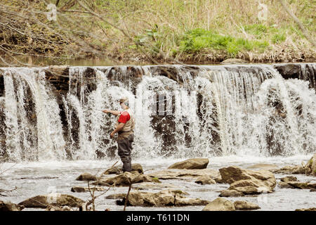 Uomo di pesca in Ridley Creek, in Ridly Creek parco dello stato nella parte orientale della Pennsylvania. A metà giornata nella primavera del tempo. Foto Stock