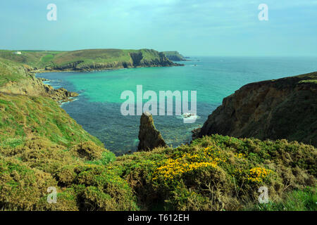 La vista dalla Clifftops guardando verso Nanjizel, vicino Land's End, Cornwall Foto Stock