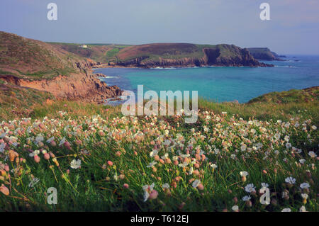 La vista dalla Clifftops guardando verso Nanjizel, vicino Land's End, Cornwall Foto Stock