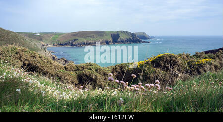 La vista dalla Clifftops guardando verso Nanjizel, vicino Land's End, Cornwall Foto Stock