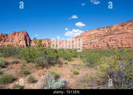 Snow Canyon State Park. Ivins, Utah, Stati Uniti d'America. Foto Stock