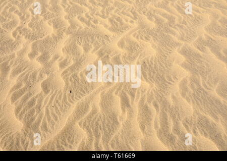 Windmade pattern e fluttuazioni nel deserto di sabbia Foto Stock