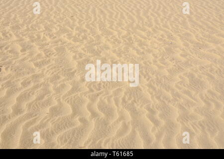 Windmade pattern e fluttuazioni nel deserto di sabbia Foto Stock