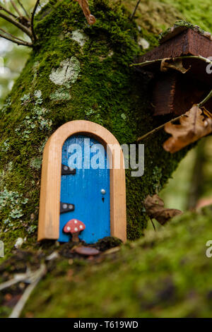 Porte Fairy su alberi in un bosco irlandese per la poca gente. Foto Stock