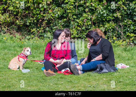 Un gruppo di donne di età mista seduto sul prato con un cane in primavera nel Regno Unito. Tutte le femmine. Tutti femmina famiglia. Foto Stock