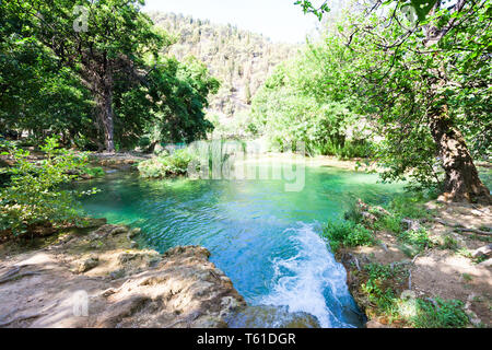 Krka, Sibenik, Croazia, Europa - punto di vista in una radura nel Parco Nazionale di Krka Foto Stock