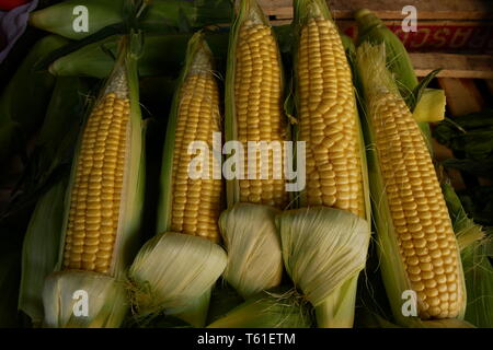 Choclo dulce amarillo expuesto para la venta en verdulería n.a. Foto Stock