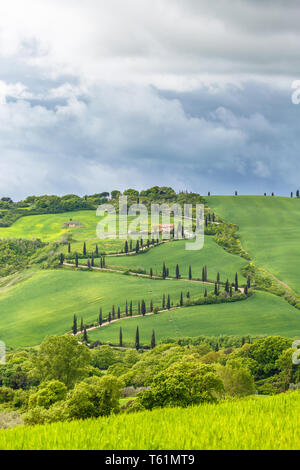 Agriturismo su una collina con una strada tortuosa Foto Stock