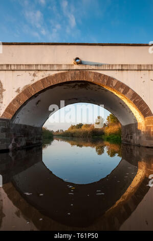 Gite in barca sul fiume Hortobágy presso la grande pianura ungherese Foto Stock