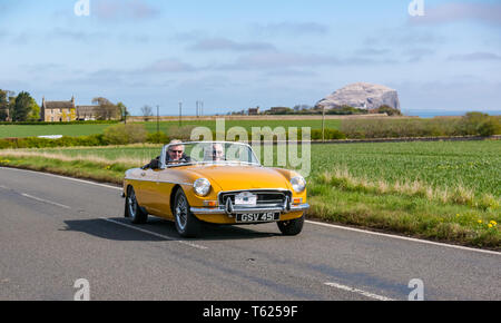 East Lothian, Regno Unito. Il 28 aprile 2019. Classic Car Tour: North Berwick Rotary Club mantiene la sua 3° rally con 65 classic le vetture iscritte. La vettura da rally è percorso da East Lothian e indietro attraverso i confini Scozzesi, la raccolta di fondi per le associazioni di beneficenza locali. Un giallo 1973 mg cabrio auto sportiva con Bass Rock gannet colonia di Firth of Forth Foto Stock