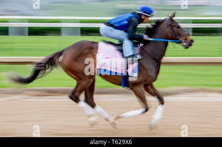 Louisville, Kentucky, Stati Uniti d'America. 28 apr, 2019. LOUISVILLE, Kentucky - aprile 28: Lady Apple, addestrati da Steve Asmussen, esercizi in preparazione per il Kentucky Oaks a Churchill Downs a Louisville, Kentucky on April 28, 2019. Scott Serio/Eclipse Sportswire/CSM/Alamy Live News Foto Stock