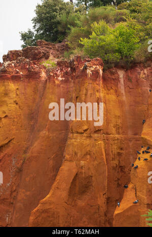 ROUSSILLON, Francia / Agosto 17, 2016 : una vista delle scogliere color ocra di Roussillon, classificato come uno dei più bei villaggi di Francia Foto Stock