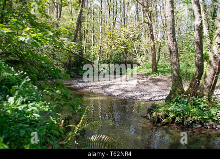 Fiume passeggiate di limone Foto Stock