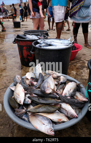 All'aperto al mercato del pesce sul molo di un piccolo villaggio di pescatori, Città Palmeria, Baía de Palmeira, Isola di Sal Capo Verde Foto Stock