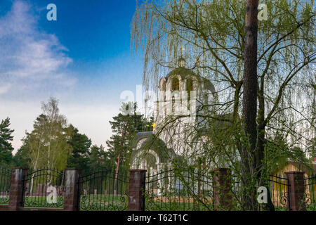 Chiesa cristiana contro il cielo blu e i rami di salici attraverso i rami di salici Foto Stock