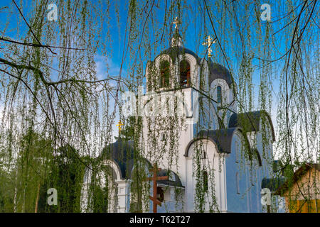 Chiesa cristiana contro il cielo blu e i rami di salici attraverso i rami di salici Foto Stock
