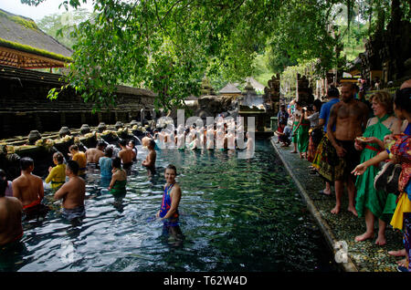 I turisti e gli adoratori di detergente Tampak Siring, la molla di santo tempio di acqua nei pressi di Ubud a Bali, in Indonesia Foto Stock