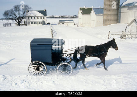 Anni Novanta AMISH carro trainato da cavalli in inverno la neve passando pitturato di bianco casa colonica e fienile Lancaster County PENNSYLVANIA USA - kr101833 RWN001 HARS PASSANDO MAMMIFERI AD ALTA RESISTENZA ANGOLO DI LANCASTER E ESTERNO PA NORD-EST Lancaster County in tratte KEYSTONE dipinto del medio Atlantico KEYSTONE CONCETTUALE DELLO STATO DI VIAGGIO ELEGANTE PENNSYLVANIA MID-ATLANTIC MEMBRO MAMMIFERO RESORTS in vecchio stile Foto Stock