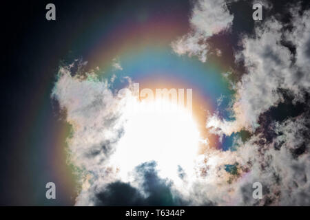 La rifrazione crea un arcobaleno, alo, o 'sundog' intorno al sole; Central Colorado; USA Foto Stock