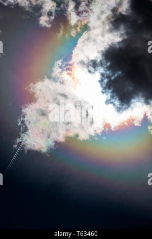 Jet contrails; rifrazione crea un arcobaleno, alo, o 'sundog' intorno al sole; Central Colorado; USA Foto Stock
