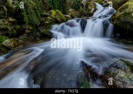 Foto della Milky flusso di acqua in Himalaya - cascata inIndia Foto Stock