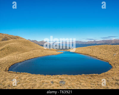 Alpine tarn, in tussock country, sopra la treeline e vista delle montagne distanti, Mt ustioni via, Parco Nazionale di Fiordland, Southland, Nuova Zelanda Foto Stock