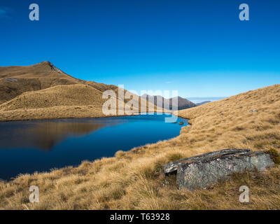 Alpine tarn, in tussock country, sopra la treeline e vista delle montagne distanti, Mt ustioni via, Parco Nazionale di Fiordland, Southland, Nuova Zelanda Foto Stock