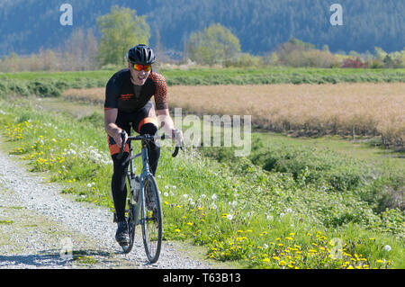 Aprile 28, 2019 Rock Ridge Volume 1 gara ciclistica in Maple Ridge, British Columbia, Canada. Ciclista a cavallo lungo un dicco di ghiaia. Foto Stock