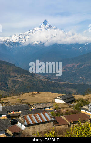 Dhampus è famosa destinazione trekking in Nepal.vicino la vista del monte Machhapuchhre, coda di pesce Montagna. Foto Stock